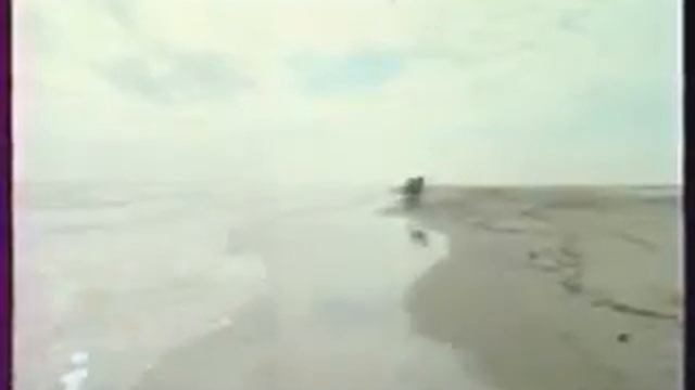 Бег иноходца, или Высоцкие смотреть онлайн