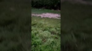 сезонная работа в Англии