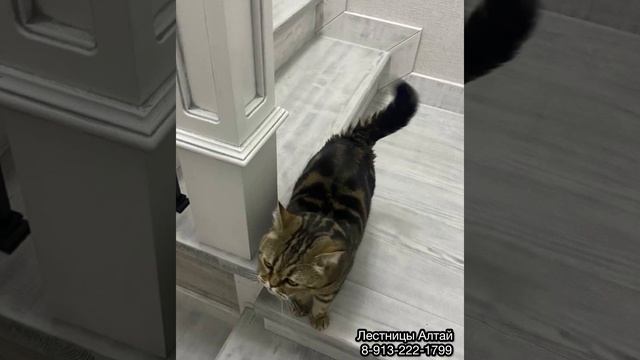 Отделка деревом лестницы на металлокаркасе. Ступени, перила,подсветка. Для заказа:8-913-222-1799
