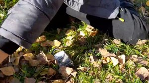 реклама леомакс часть 1