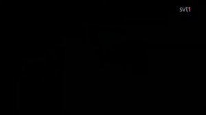 Загнанных лошадей пристреливают