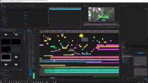 FLORIDA MAN USING AFTER EFFECTS WITH PREMIERE PRO 2020 DYNAMIC LINK BABY