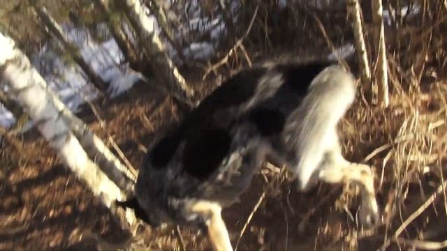 НЕ ВРЕМЯ ПАНИКОВАТЬ И ТРУСИТЬ. ЗАКАЛЯЙСЯ КАК СТАЛЬ смотреть онлайн