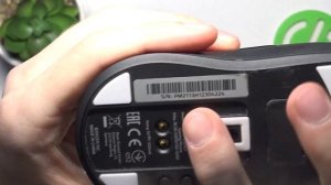 Razer Viper Ultimate | Как проверить серийный номер мышки Razer Viper Ultimate