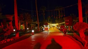 Поездка в Египет Ali Baba Palace 4*  январь 2024