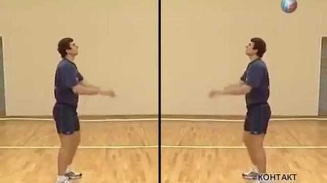 Правила волейбол смотреть онлайн