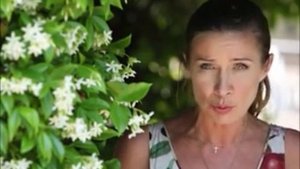 Пропрованс ~ Белоника "...успех неизбежен"