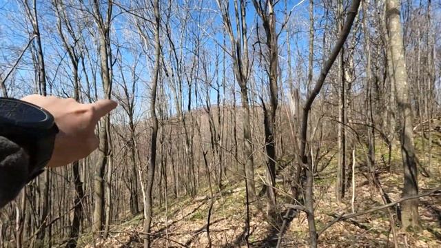 Ширяево - Гаврилова поляна по верхней и средней тропе смотреть онлайн