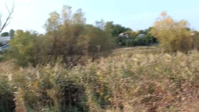 Народный праздник «Арина осенняя». 1 октября. Что нужно делать в этот день. смотреть онлайн