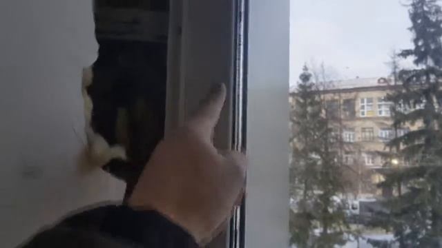 Ремонт окон, выгнуло раму.