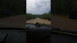30.06.2021. Дорога на Шульган-Таш.