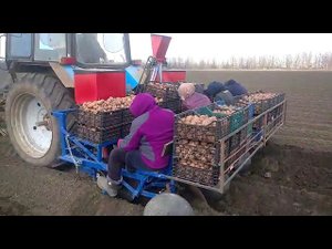 картофелесажалка 4-х рядная между рядами 70 см работа в поле,тел. для продажи сх техники 89189977949