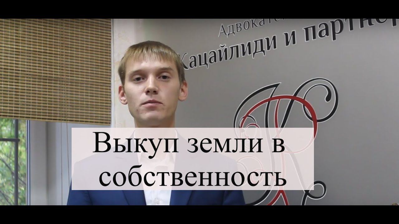 Выкуп земли в собственность: земля через суд, земельные споры