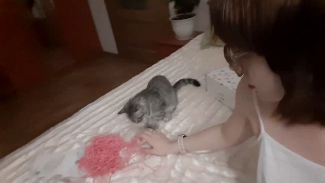 vlog: день рождения, годовщина, распаковки, колледж. смотреть онлайн