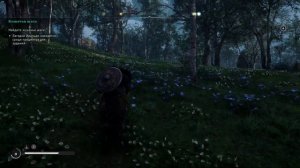 Assassin's Creed Valhalla ➤ Прохождение #43 ➤ Кошачьи шаги