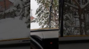 про реле дворников VW T4