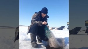 Установка сетей под Лёд.