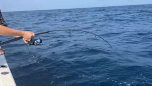 Рыбалка на Шри Ланке. GT Popping, Fishing on Sri Lanka