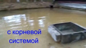 Очищаем пруд садоводческого товарищества. Чистка водоема СНТ "Корвет".