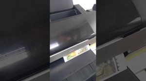 Печать матовой самоклеящейся бумаги на струйном принтере EPSON