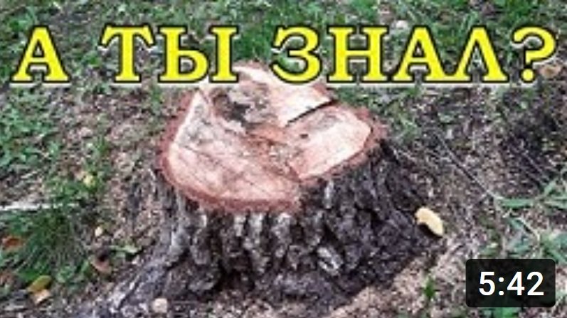 Как избавиться ОТ ПНЯ????