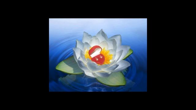 кувшинка смотреть онлайн