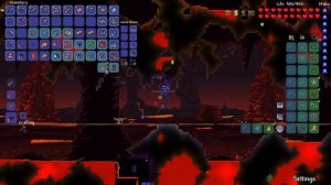 can Terraria Calamity SUMMONER beat the Wall of Flesh?!?