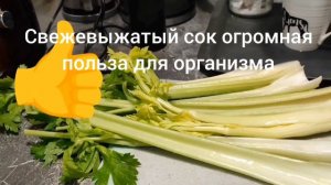 Полезный сок из сельдерея, пью  и комбинируют с другими овощами.