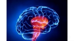 Что, если у меня инсульт? // Болит голова. Что делать?