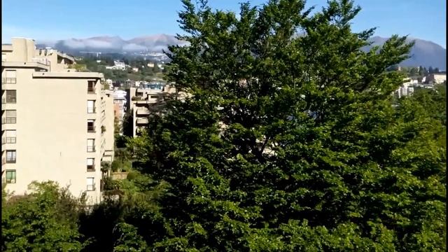 вид из окна смотреть онлайн