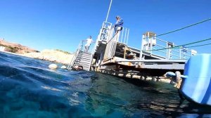 Отдых в Шарм-эль-Шейхе / Отель Stella Di Mare / Дайвинг / Diving