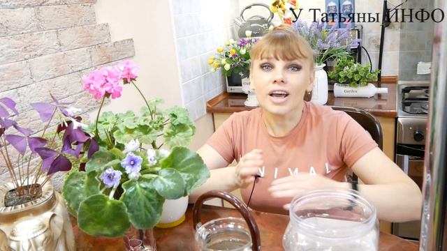 Подкормка из КАРТОФЕЛЯ с пользой для КОМНАТНЫХ РАСТЕНИЙ! смотреть онлайн