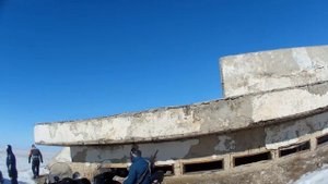 охота на волков   степные охотники 2021   Wolf Hunting 2021