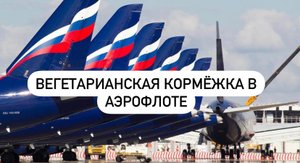 Чем кормит вегетарианцев Аэрофлот?