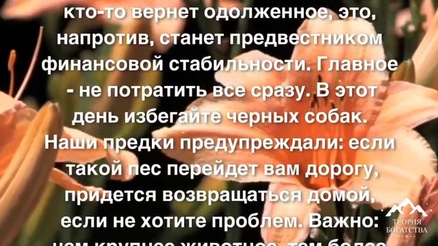 ЧТО НЕЛЬЗЯ ❌ ДЕЛАТЬ В ЭТОТ ДЕНЬ/НАРОДНЫЕ ПРИМЕТЫ на 6 июня 2021 года