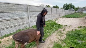НАКОНЕЦ-ТО МЫ ЭТО СДЕЛАЛИ! ПЕРЕЕЗД В НОВЫЙ ДОМ! НАША ФЕРМА! ЖИЗНЬ ПРОСТЫХ ЛЮДЕЙ В ДЕРЕВНЕ!