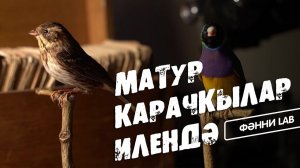 Фәнни Lab / Матур карачкылар илендә / Таксидермист / Изготовление чучел