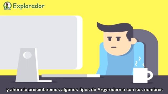 13 Lindas Especies de Argyroderma ! plantas más extrañas del mundo ! смотреть онлайн