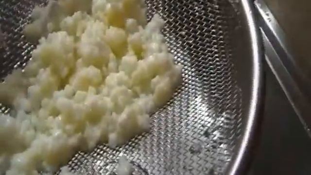 молочно-кислый гриб.живая закваска для молока.вкусно!полезно!