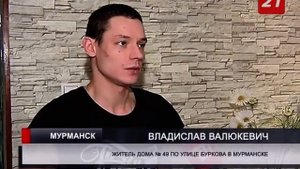 Жители одного из домов Мурманска страдают от нашествия комаров