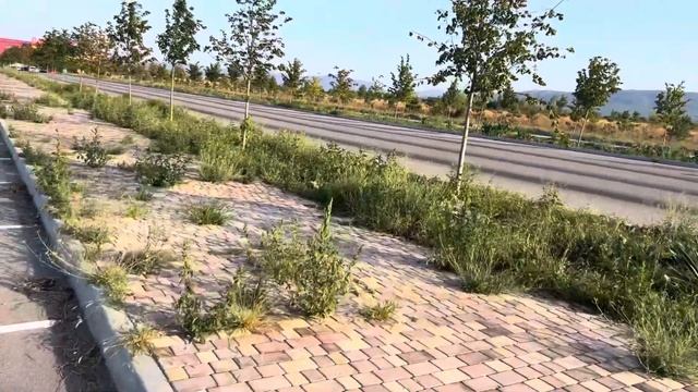 Парк львов «Тайган» СНАРУЖИ и НОВЫЕ территории сафари-парка, их уже Олег Зубков засадил деревьями смотреть онлайн