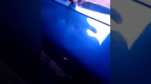 Удаление вмятин инструмент ПДР