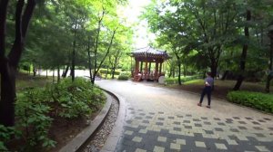 Домашний семейный влог и немного политики ^^ KOREA VLOG