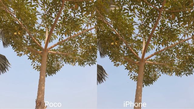 Poco X6 Pro vs iPhone 15 Camera Test смотреть онлайн