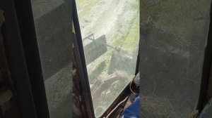 КПС 5Г самоходная косилка. Оборачивание валков.