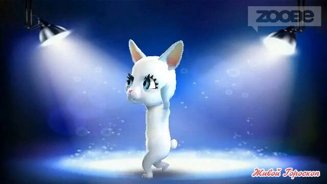 Смешная Зайка Zoobe :) Подруга посоветовала супер диету смотреть онлайн