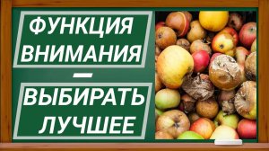 Как всегда выбирать лучшее Ч.1