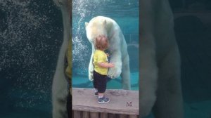 "Мой мир прекрасного"                   Белые медведи