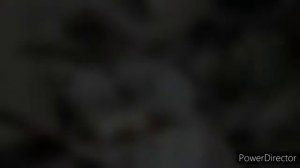 нож из подшипника своими руками