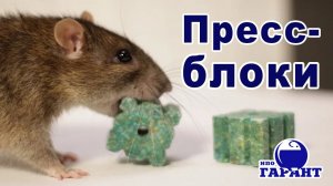 Пресс-блоки против грызунов. Родентицидное средство на основе антикоагулянта 2-го поколения.